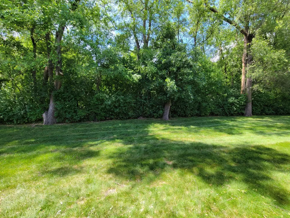 2920 Mounds View Boulevard Mounds View, MN 55112