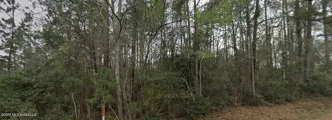 Mixon Lake Road