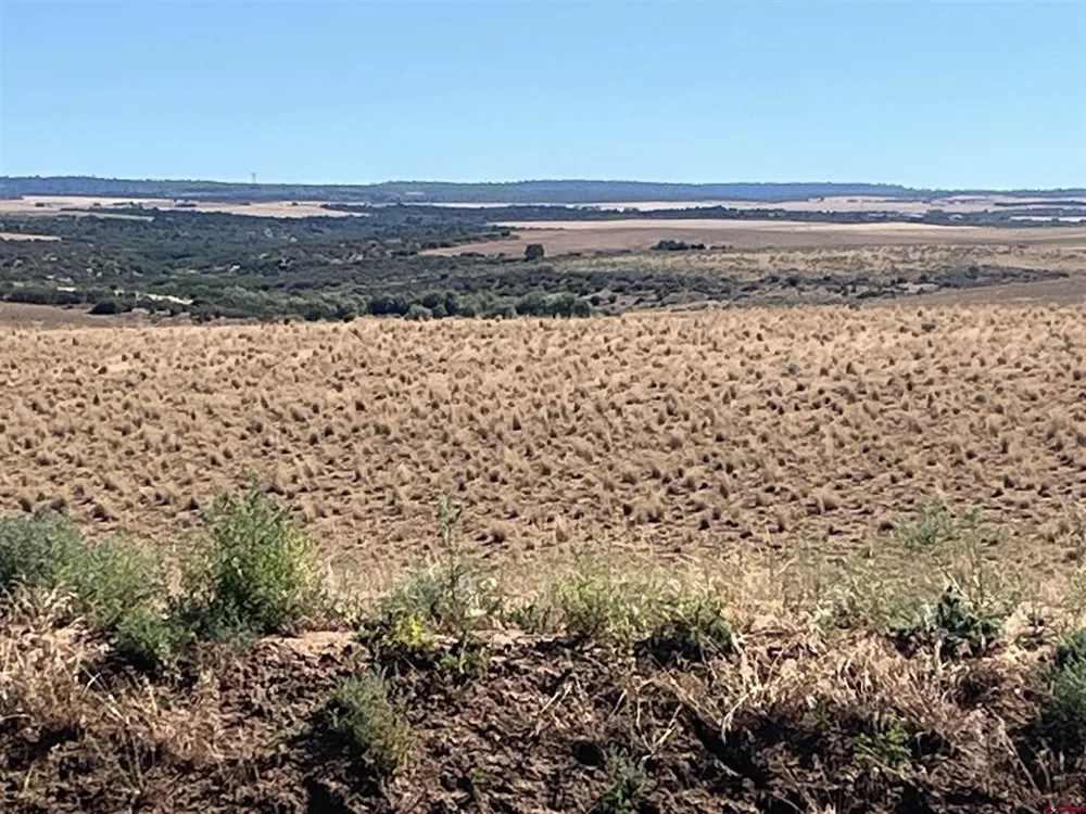 Road AA (Lot 3) Lewis, CO 81327