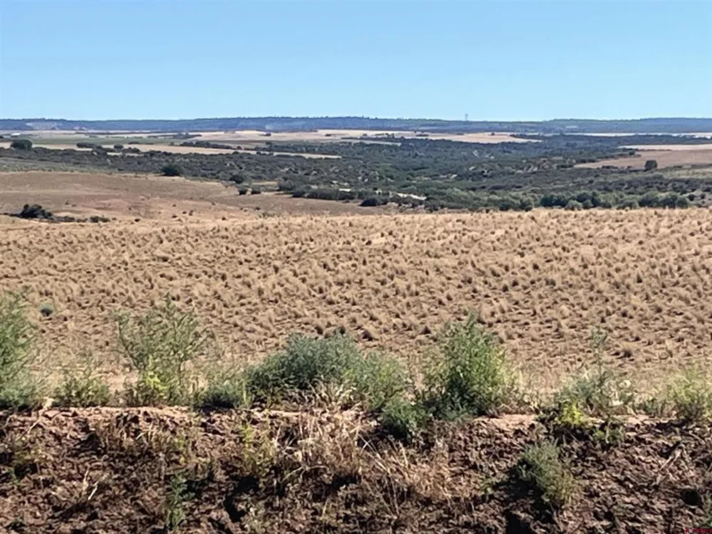 Road AA (Lot 3) Lewis, CO 81327