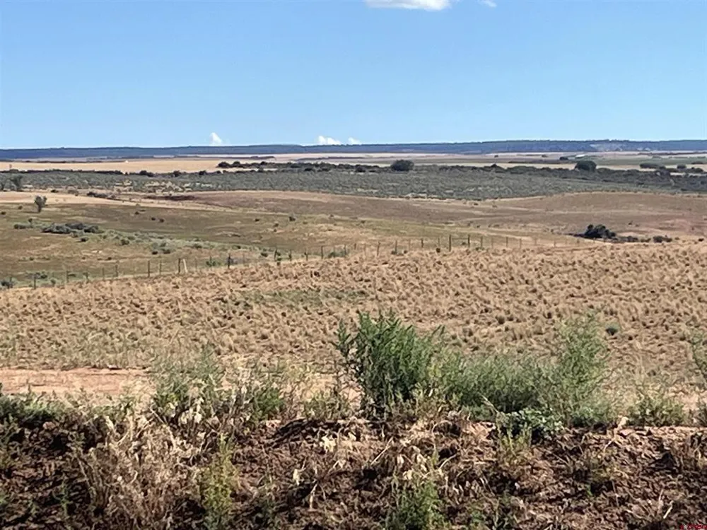 Road AA (Lot 3) Lewis, CO 81327
