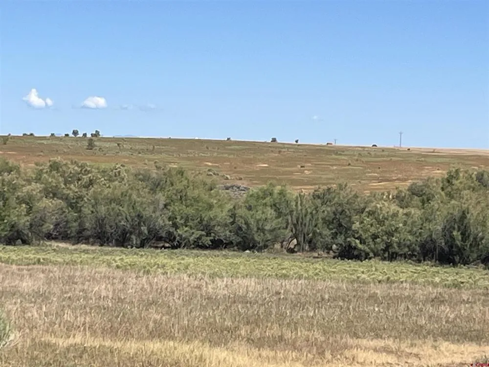 Road AA (Lot 3) Lewis, CO 81327