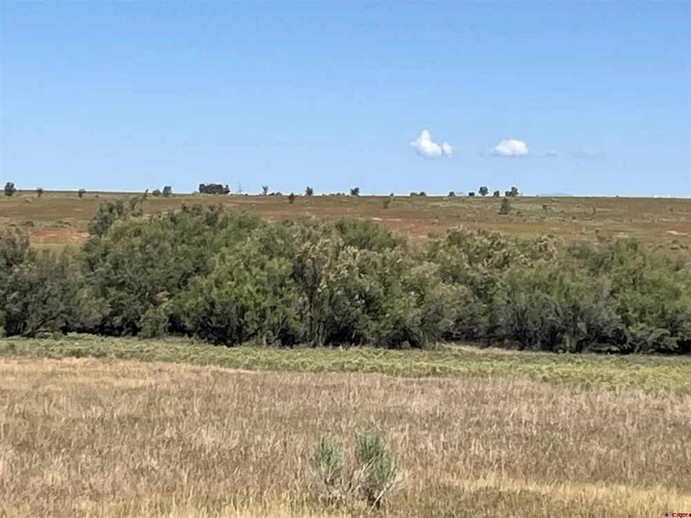 Road AA (Lot 3) Lewis, CO 81327