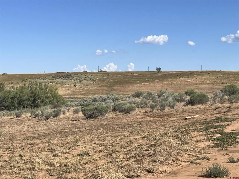 Road AA (Lot 3) Lewis, CO 81327
