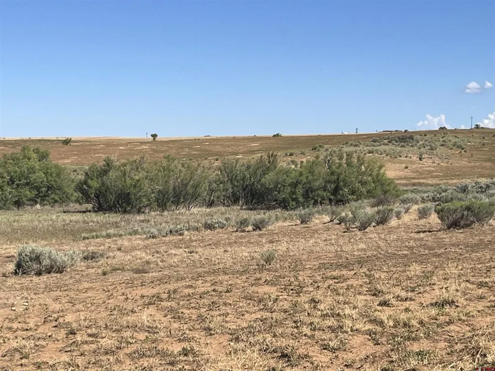 Road AA (Lot 3) Lewis, CO 81327