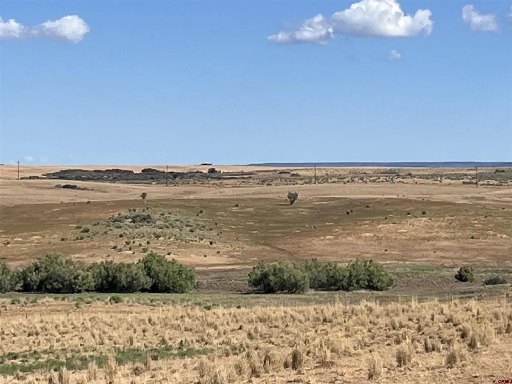 Road AA (Lot 3) Lewis, CO 81327