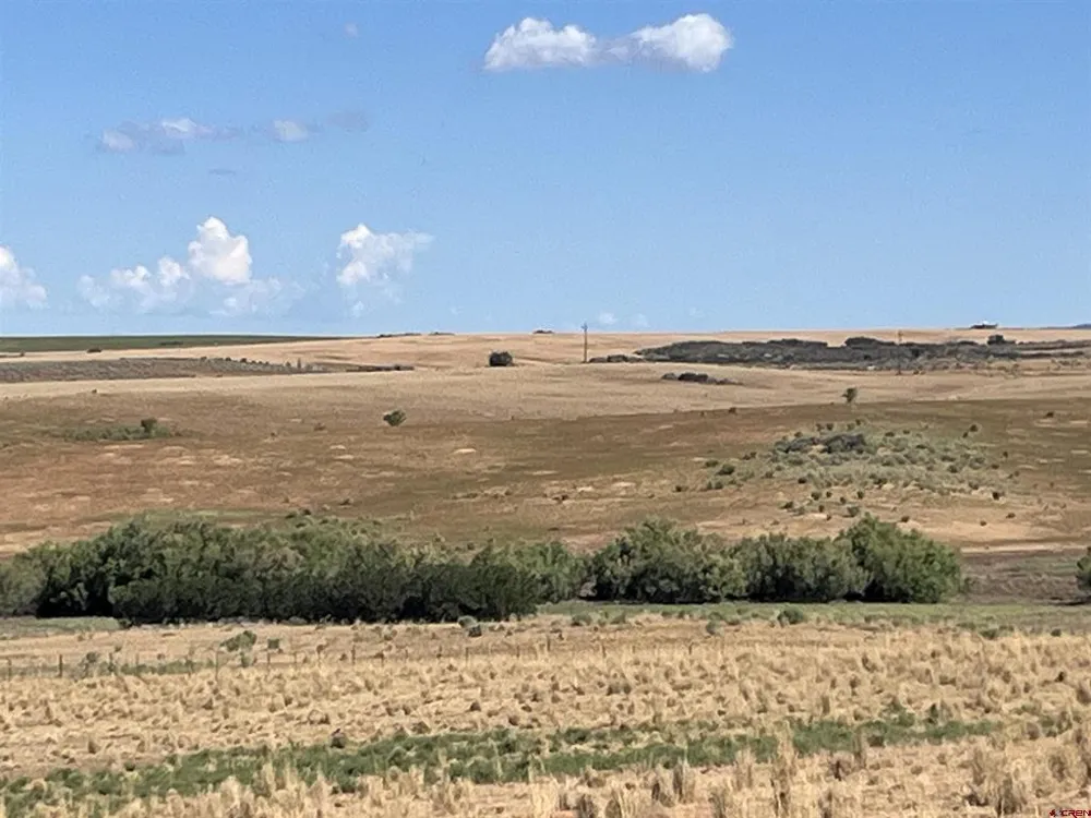 Road AA (Lot 3) Lewis, CO 81327