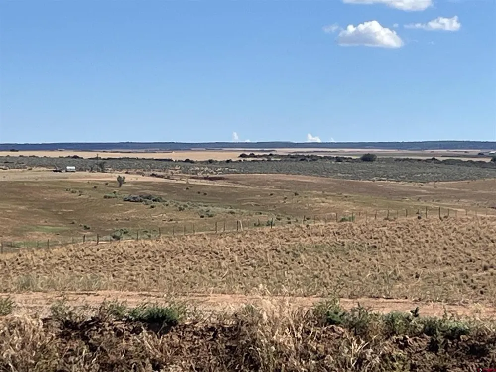 Road AA (Lot 3) Lewis, CO 81327