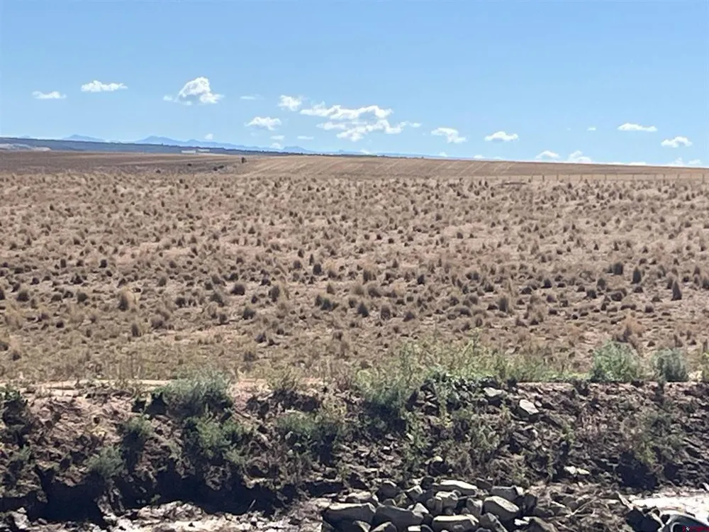 Road AA (Lot 3) Lewis, CO 81327