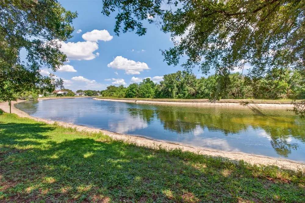 6710 HOLLY HEATH DRIVE Riverview, FL 33578