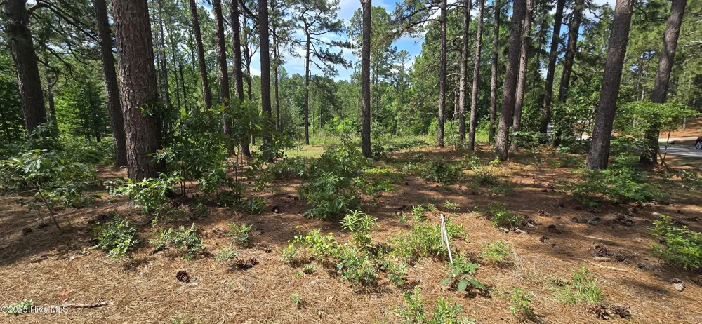 101 Owens Circle Seven Lakes, NC 27376
