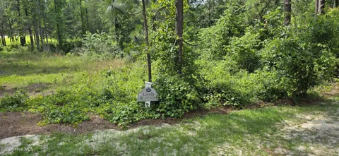 101 Owens Circle