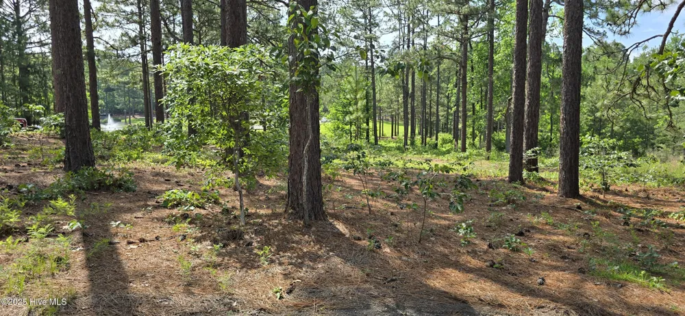 101 Owens Circle Seven Lakes, NC 27376