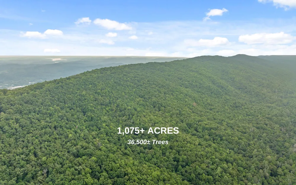1075 Riggs Chapel Road Harriman, TN 37748