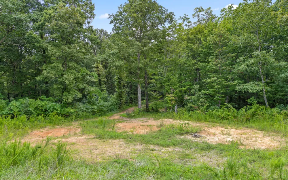 1075 Riggs Chapel Road Harriman, TN 37748