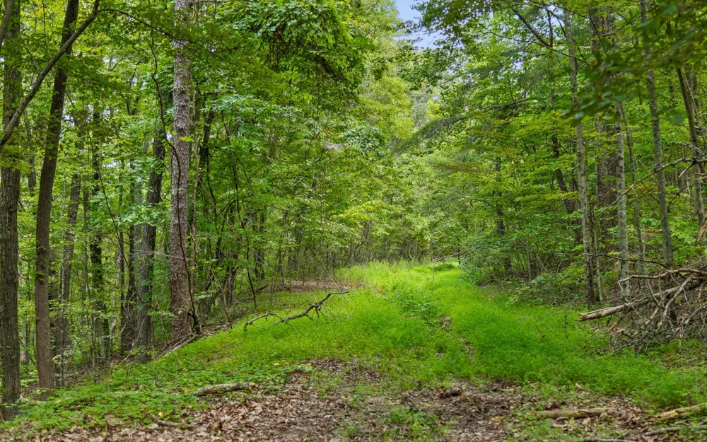 1075 Riggs Chapel Road Harriman, TN 37748