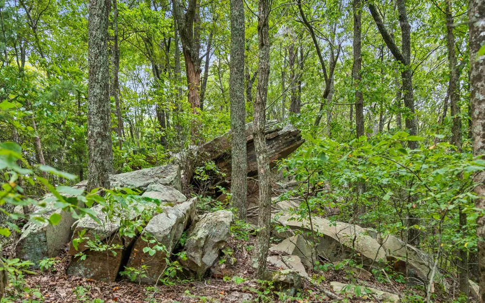 1075 Riggs Chapel Road Harriman, TN 37748