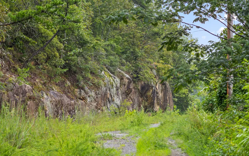 1075 Riggs Chapel Road Harriman, TN 37748