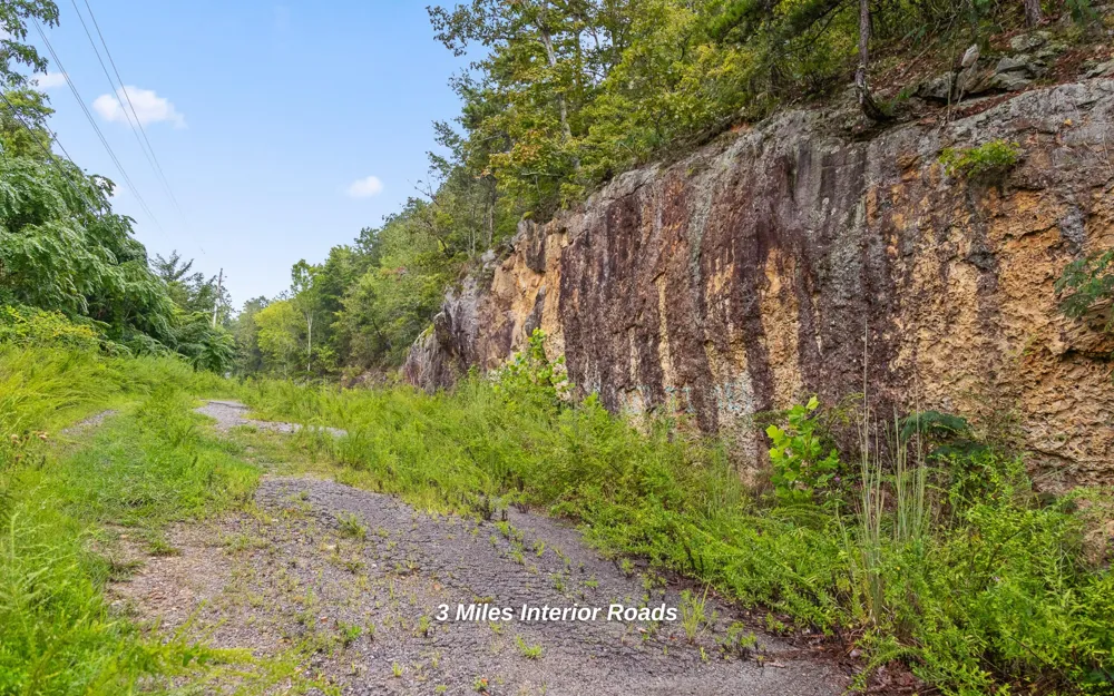 1075 Riggs Chapel Road Harriman, TN 37748