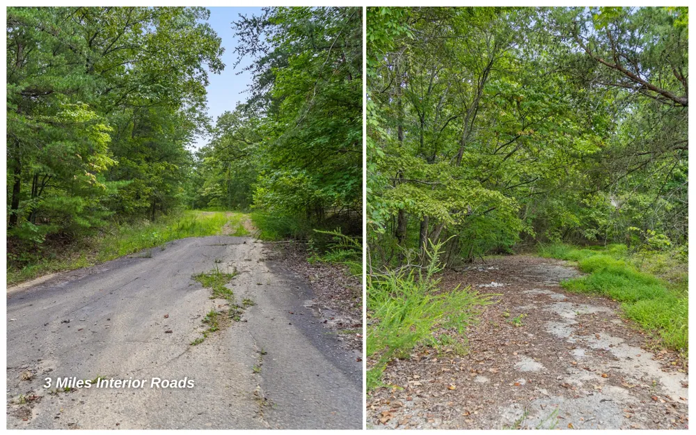 1075 Riggs Chapel Road Harriman, TN 37748