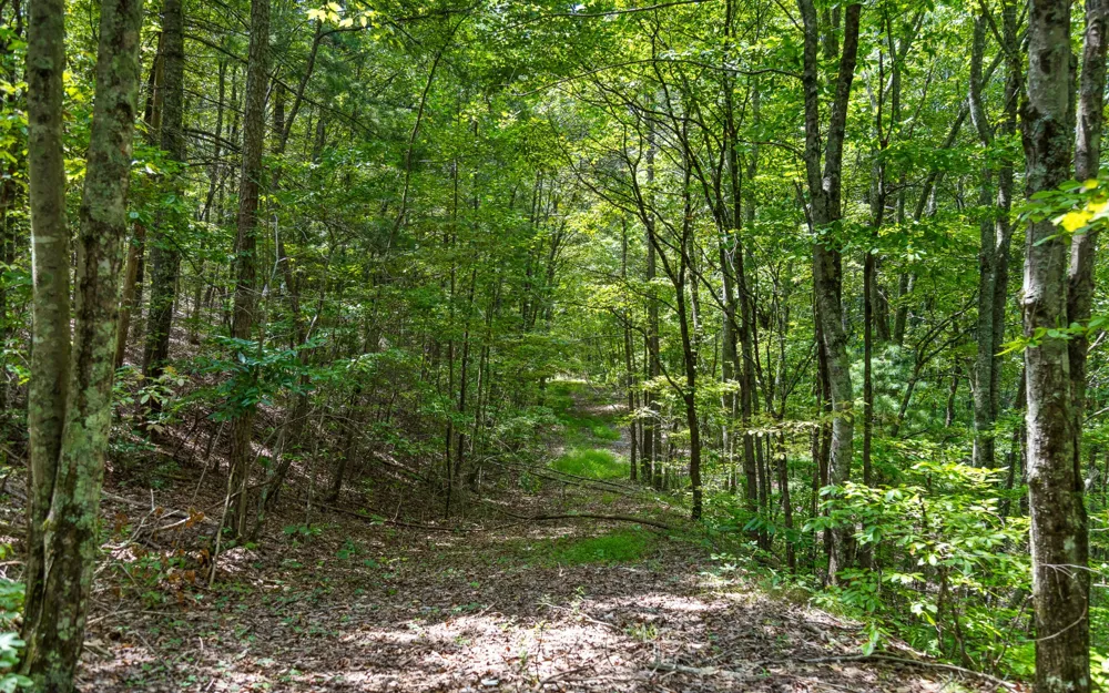 1075 Riggs Chapel Road Harriman, TN 37748