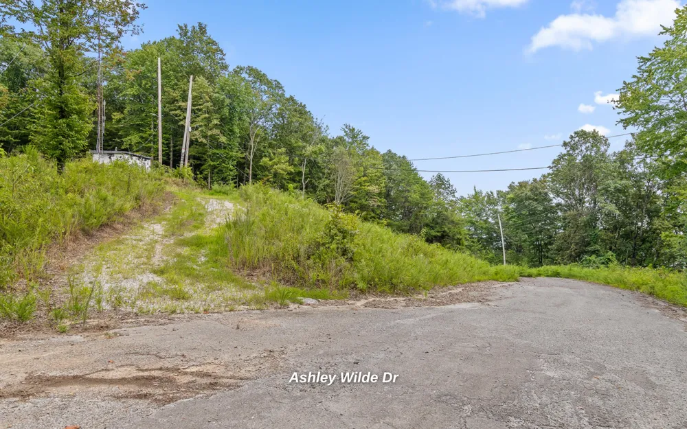 1075 Riggs Chapel Road Harriman, TN 37748