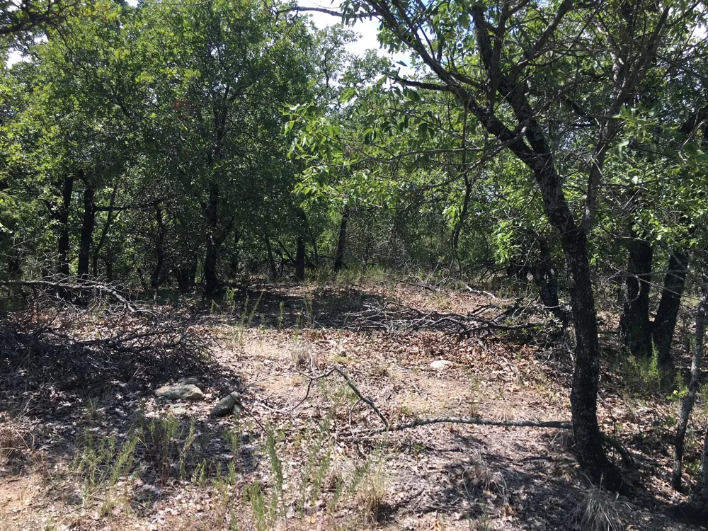 Lakeside Drive Bowie, TX 76230