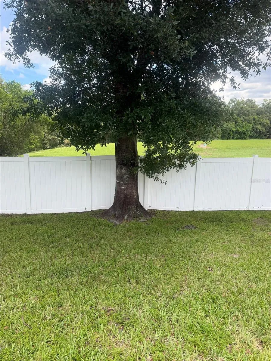 5224 MILL STREAM ROAD Ocoee, FL 34761
