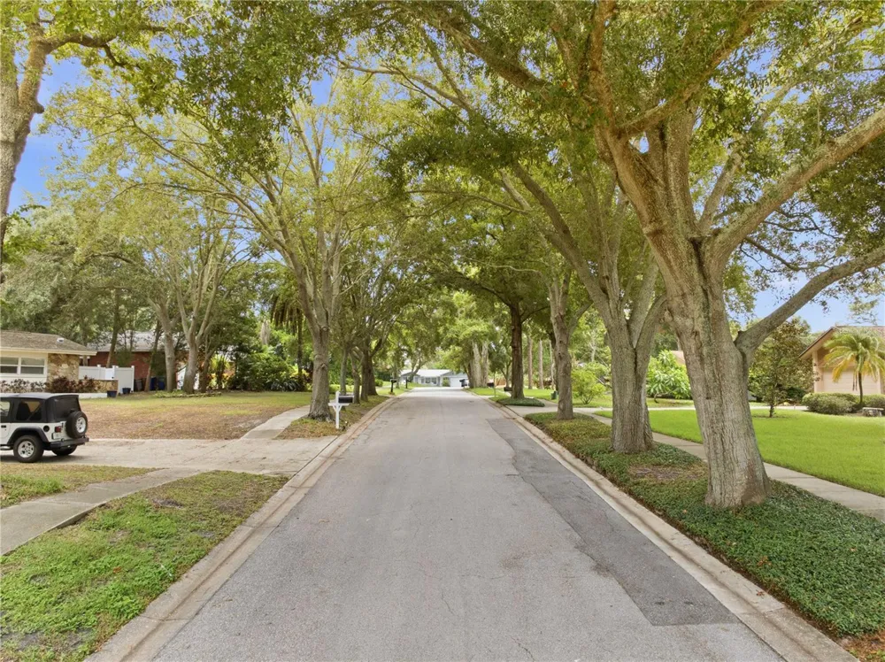 2860 BRIARWOOD LANE Palm Harbor, FL 34683
