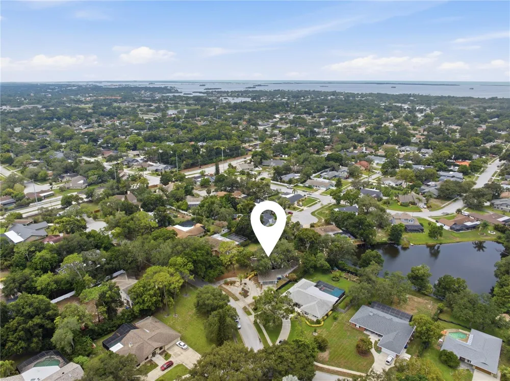 2860 BRIARWOOD LANE Palm Harbor, FL 34683