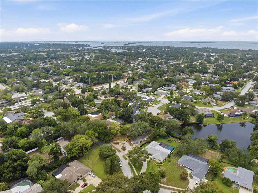 2860 BRIARWOOD LANE Palm Harbor, FL 34683