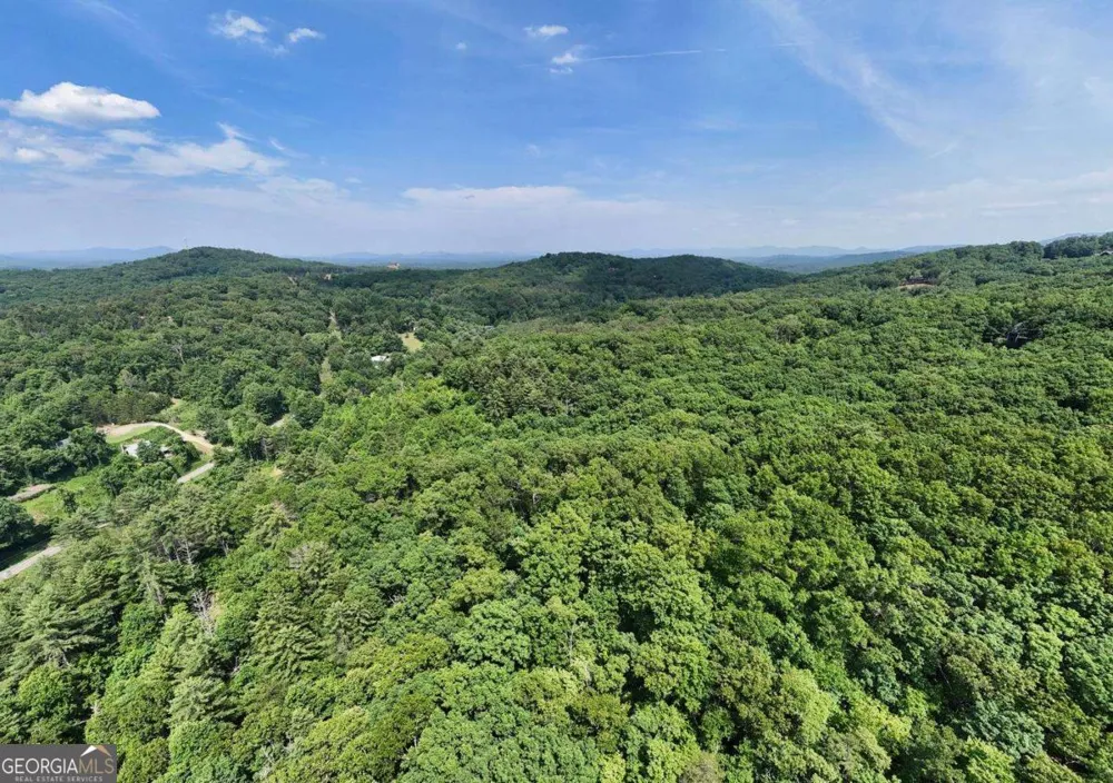 201 Jaguar LN Blue Ridge, GA 30513
