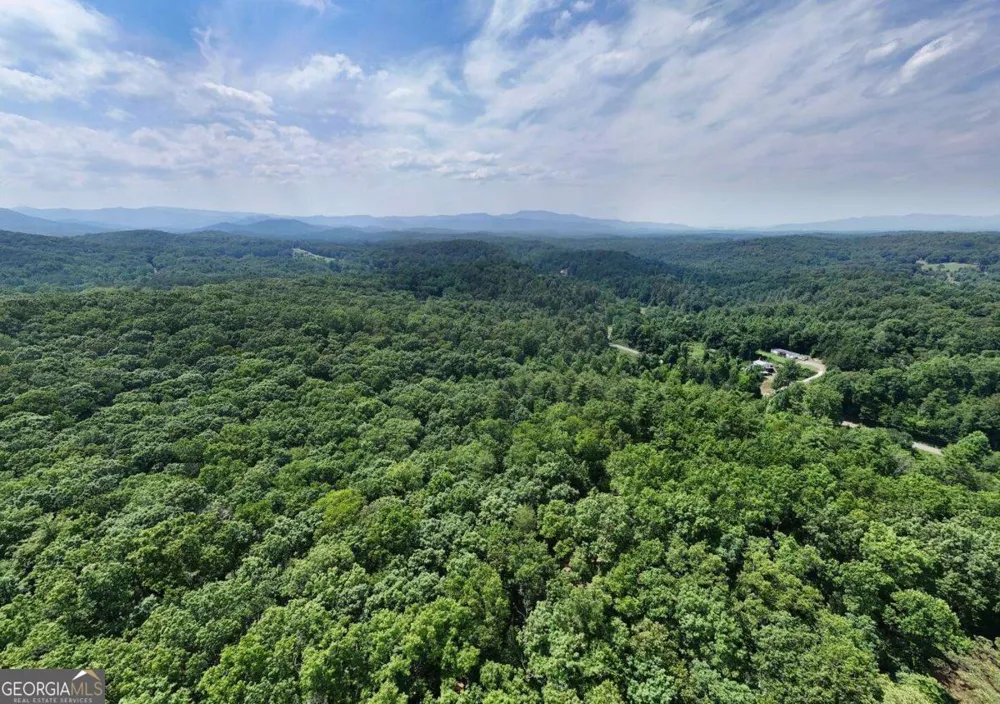 201 Jaguar LN Blue Ridge, GA 30513