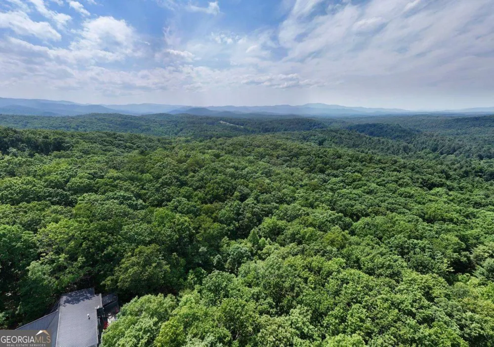 201 Jaguar LN Blue Ridge, GA 30513