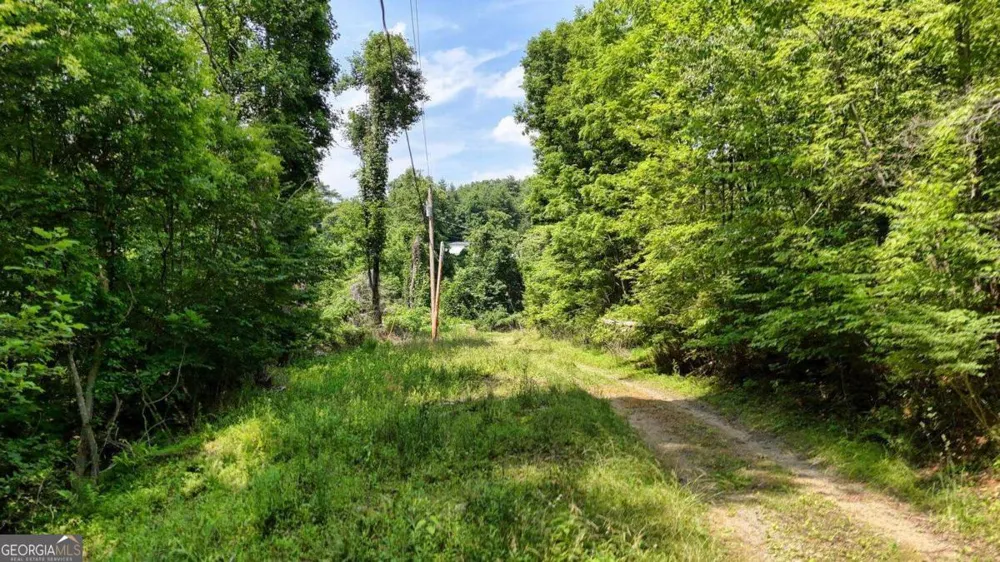 201 Jaguar LN Blue Ridge, GA 30513