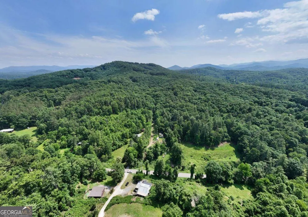 201 Jaguar LN Blue Ridge, GA 30513
