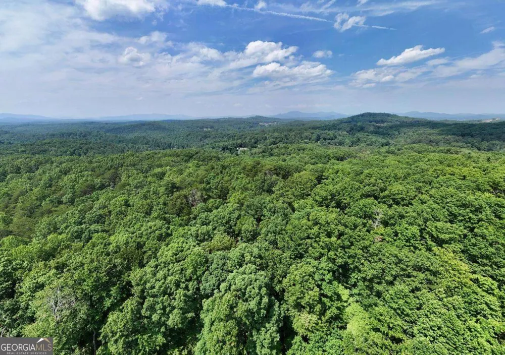 201 Jaguar LN Blue Ridge, GA 30513