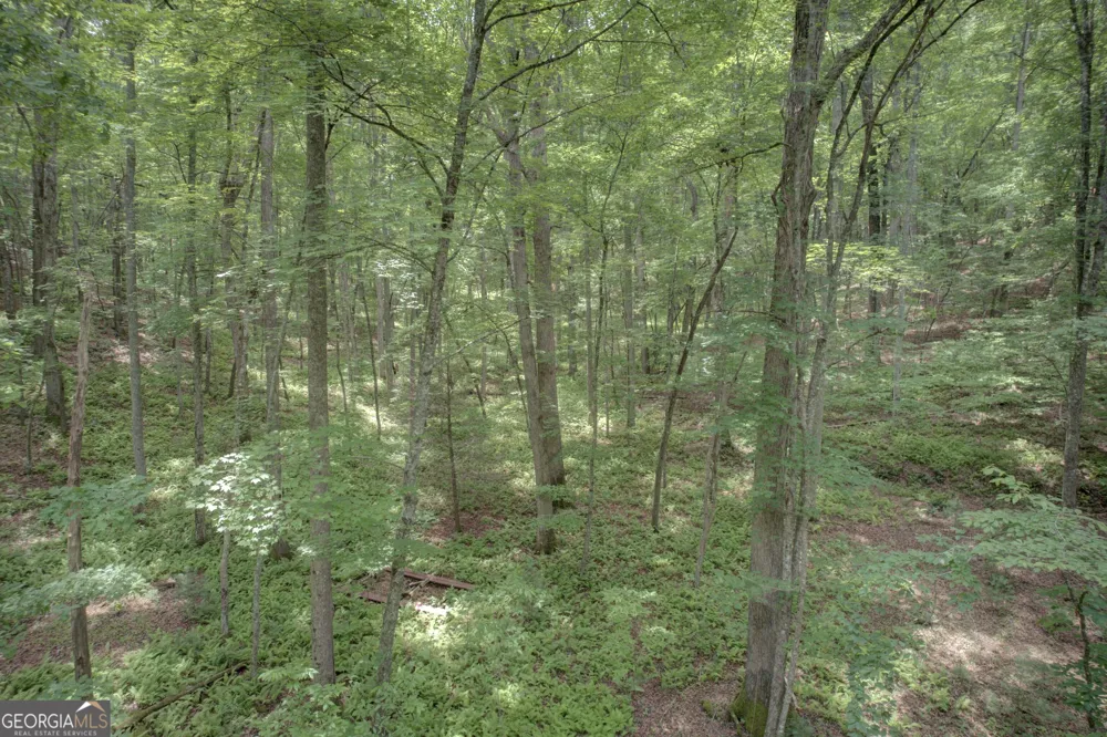 201 Jaguar LN Blue Ridge, GA 30513