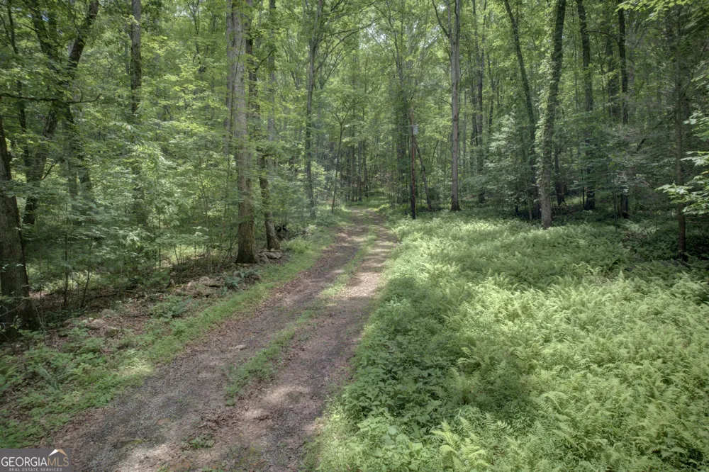 201 Jaguar LN Blue Ridge, GA 30513