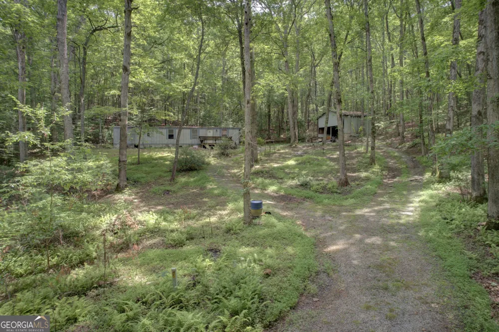201 Jaguar LN Blue Ridge, GA 30513