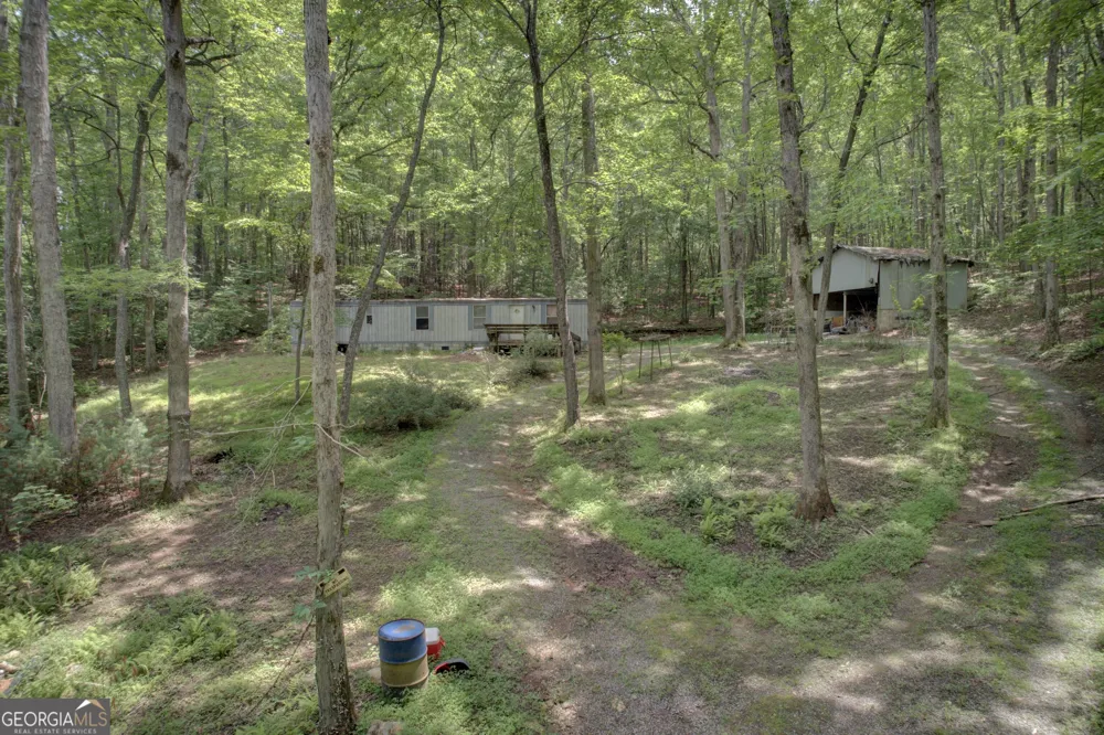 201 Jaguar LN Blue Ridge, GA 30513