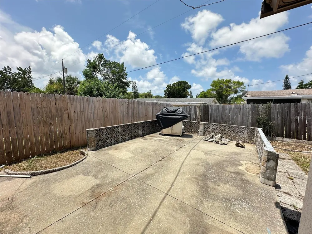 3313 BRIAR CLIFF DRIVE Holiday, FL 34691