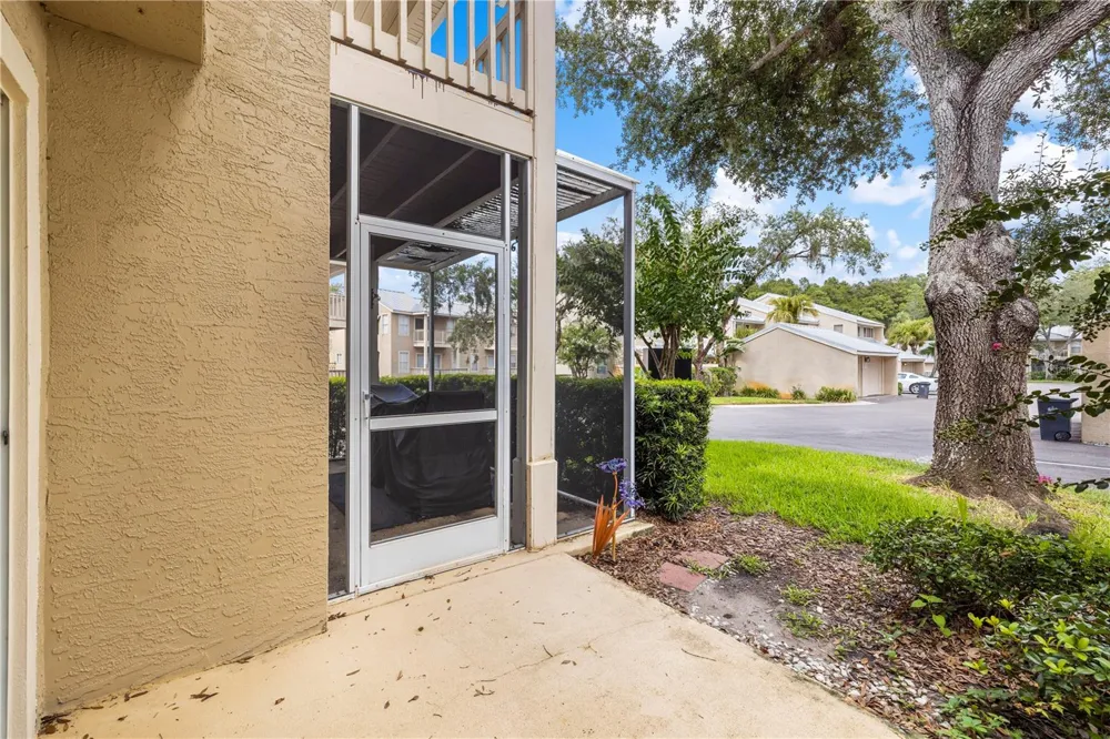 13007 LORNA PLACE Tampa, FL 33618