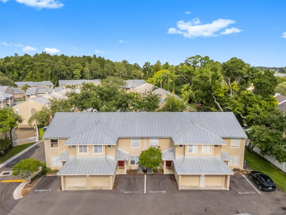 13007 LORNA PLACE Tampa, FL 33618