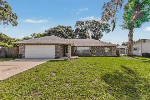 2311 PINE TREE