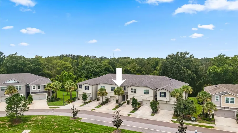 14140 DAMSELFLY DRIVE Tampa, FL 33625