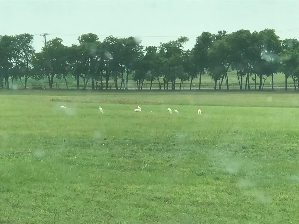 County Road 168 McKinney, TX 75071