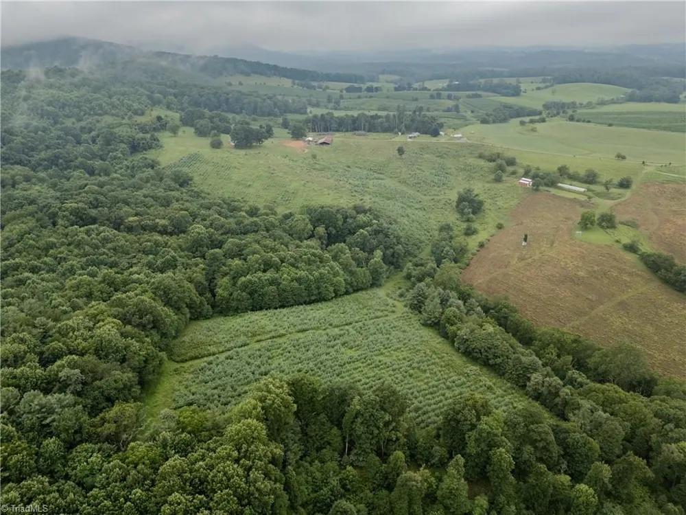 000 Bledsoe Road Sparta, NC 28675