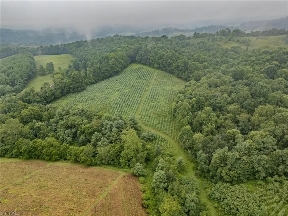 000 Bledsoe Road Sparta, NC 28675