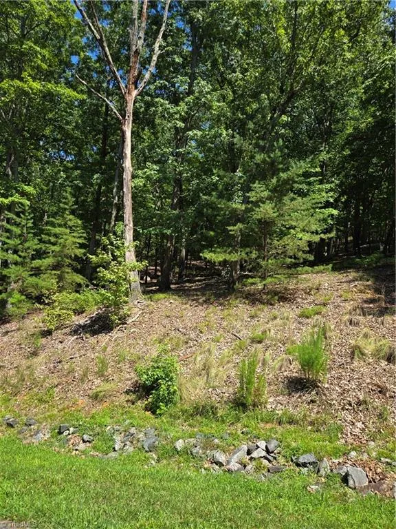 377 Pinnacle Trail Denton, NC 27239